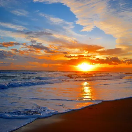 White Salento فندق مبيت وإفطار 3*